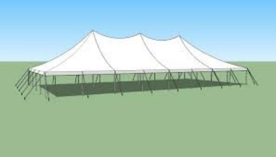 Picture of 40x80 Pole Tent