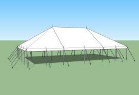 Picture of 30x60 Pole Tent