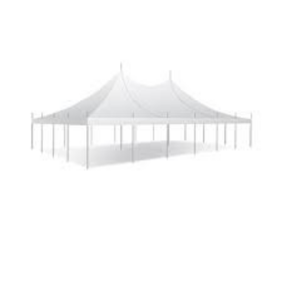 Picture of 30x45 Pole Tent