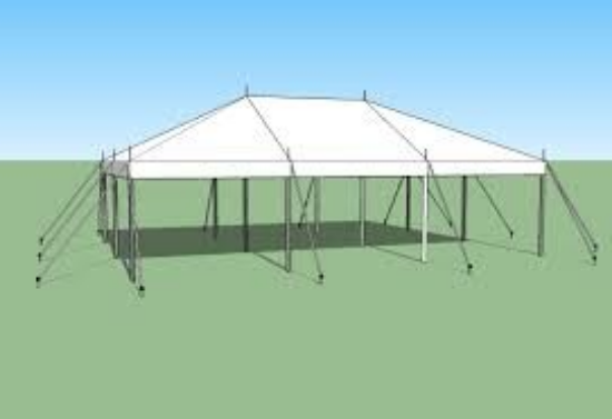 Picture of 20 x 30 Pole Tent
